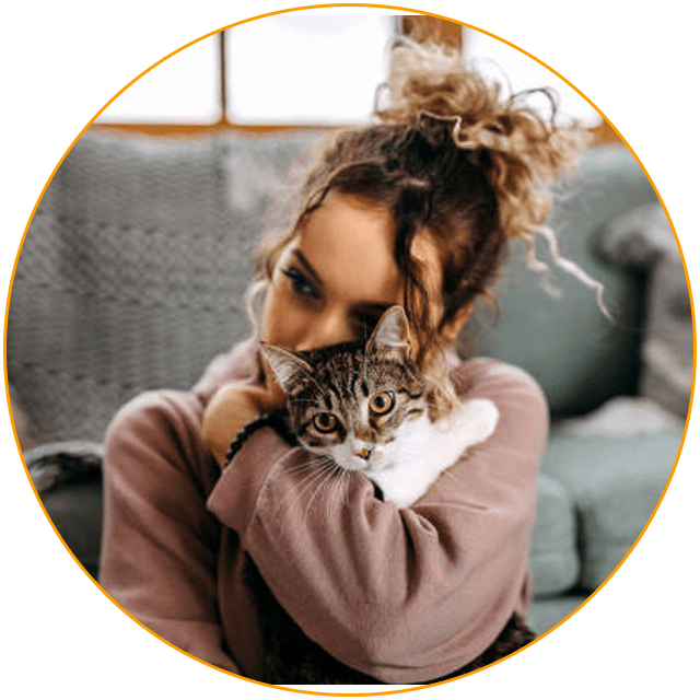 cat transport services folkestone