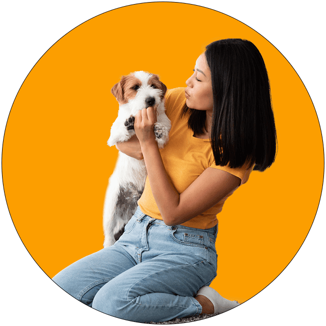 best dog transportation services