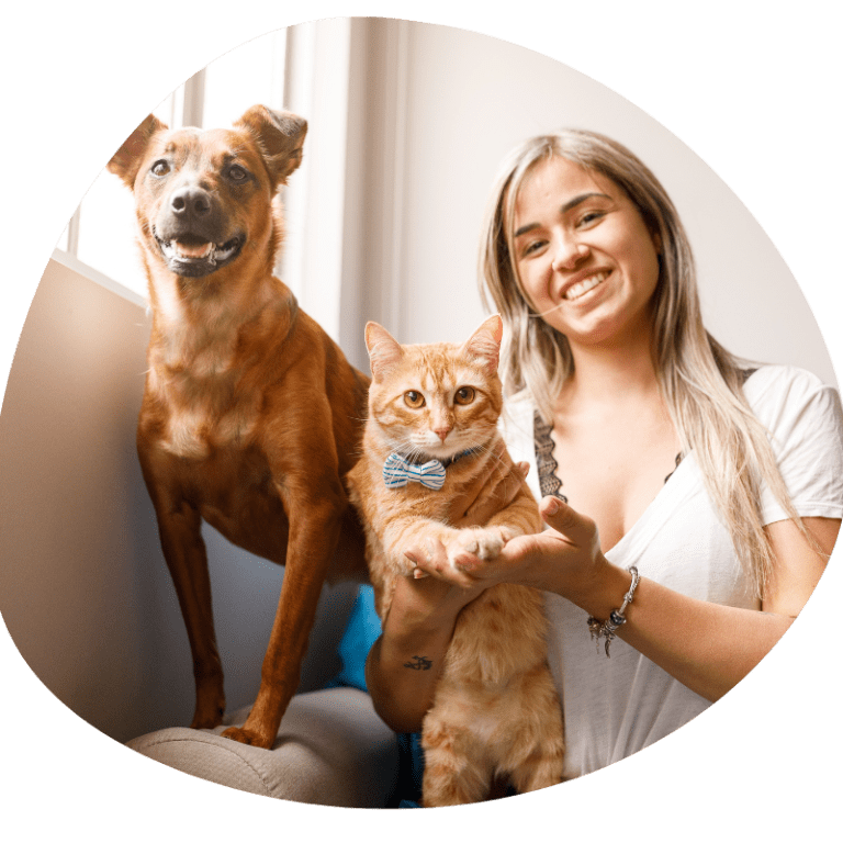 Reliable & Best Pet Taxi Services Across UK & Europe