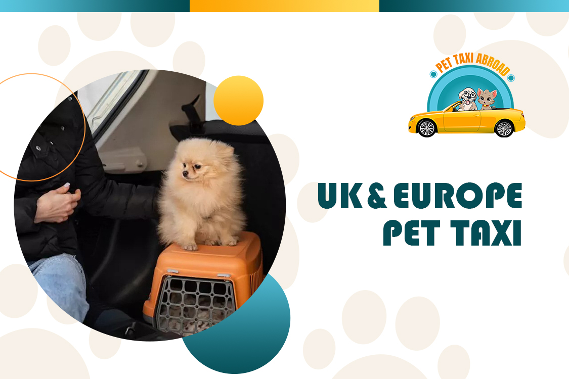 UK & Europe Taxi