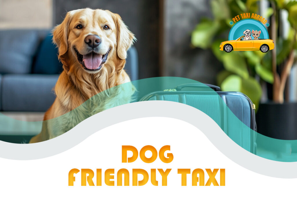 Dog Friendly Taxi 